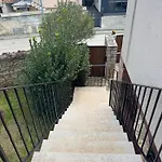 Sofia פולה